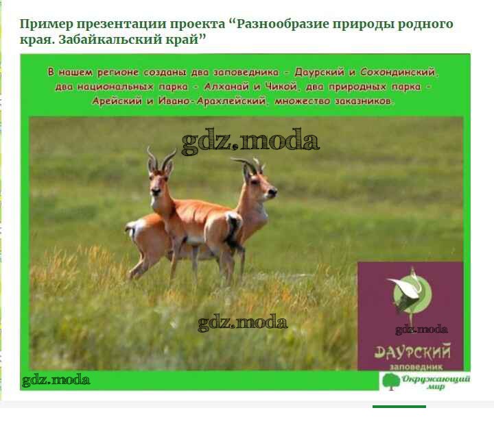 Разнообразие природы родного края приморский край