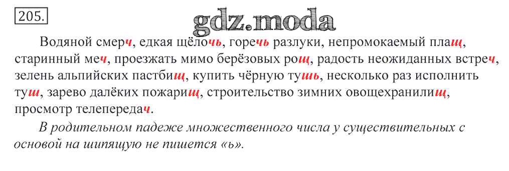 русский язык номер 205. русский язык номер 205. русский язык 5 класс упражнение 211. русский язык номер 205. русский язык 5 класс 1 часть упражнение 205.