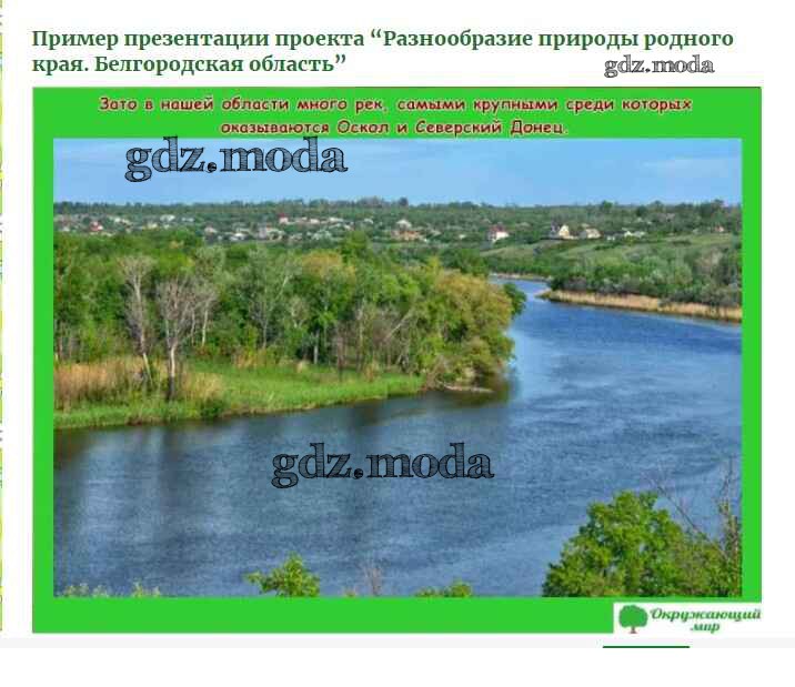 Разнообразие природы родного края владимирская область