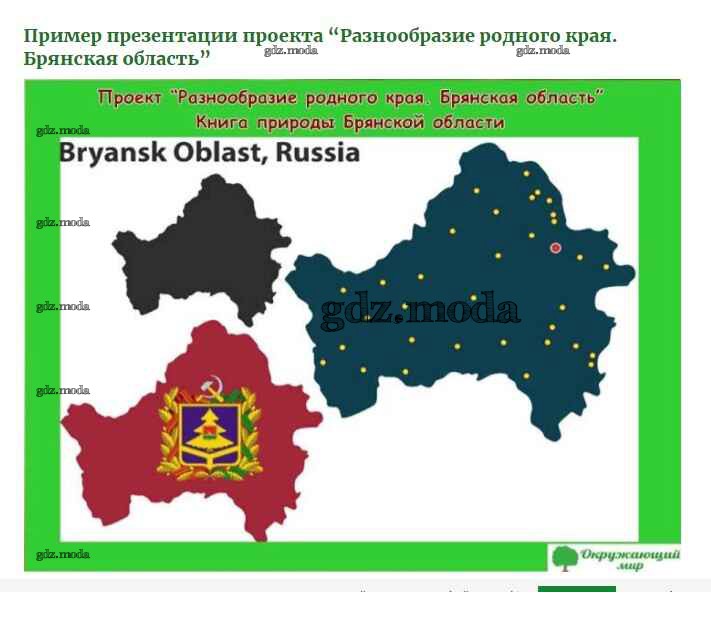 Три область. Природа Брянского края проект 3 класс окружающий мир. Разнообразие природы родного края Брянской области. Проект разнообразие природы Брянской области. Растительный мир проект Брянской области.