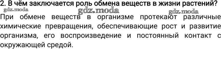 Какова роль обмена. В чём заключается роль обмена веществ в жизни растений. Роль метаболизма в жизни живого организма. В чем заключается роль обмена веществ в жизни растений 6. В чём заключается роль обмена веществ в жизни растений 6 класс.