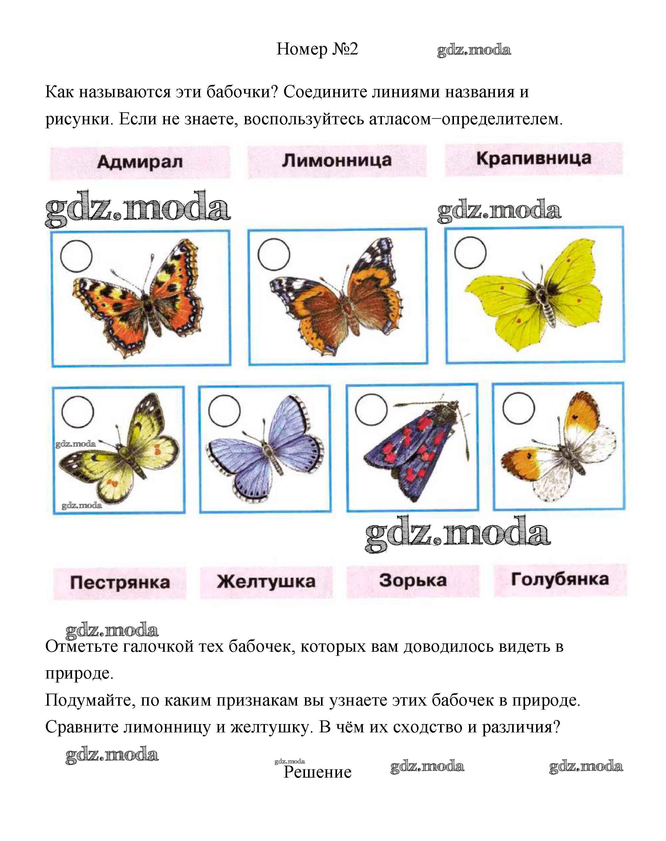 ОТВЕТ на задание № 30-33 Рабочая тетрадь по Окружающему миру 1 класс  Плешаков Школа России