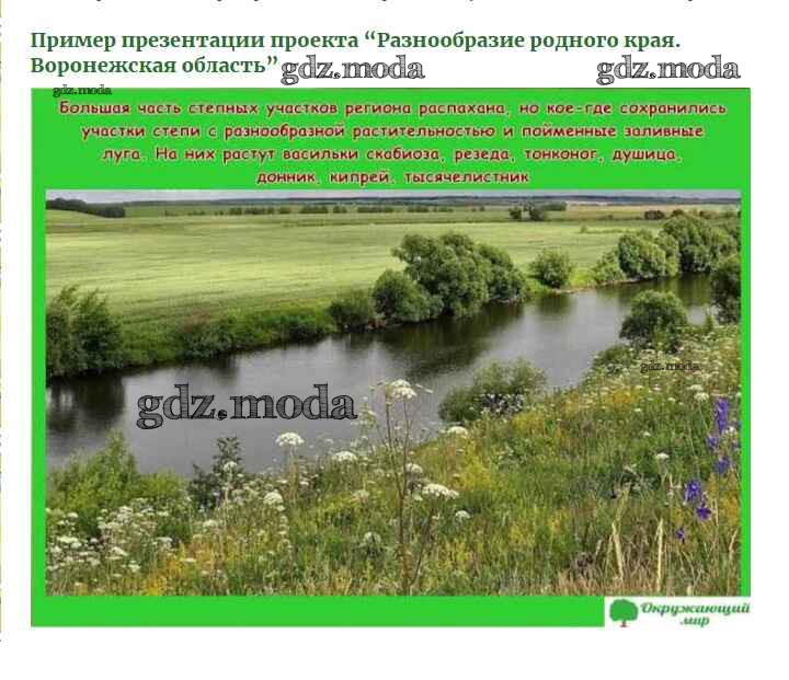 Проект разнообразие природы родного края курганская область