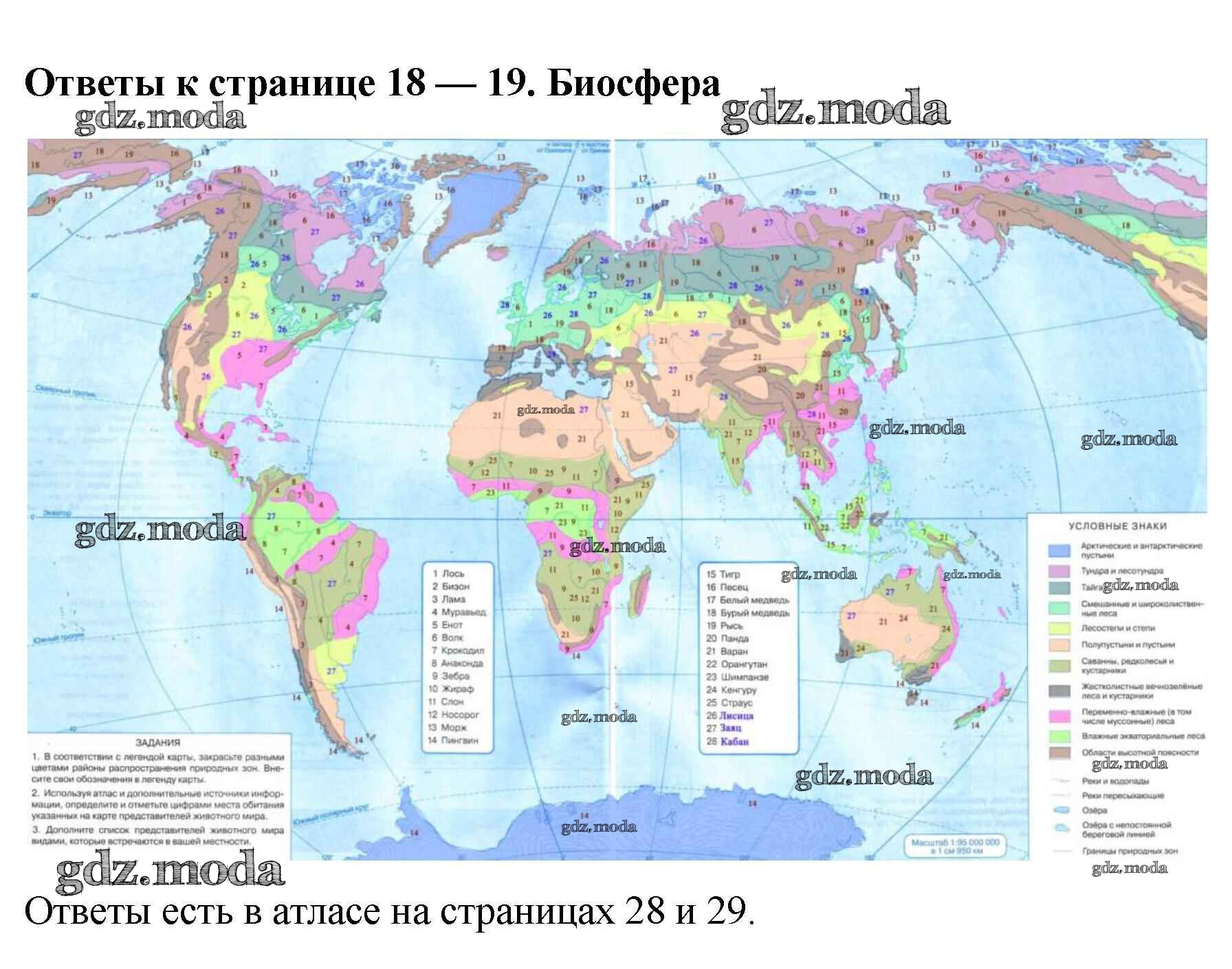 ОТВЕТ на задание № стр.18-19 Контурные карты по Географии 6 класс Курчина