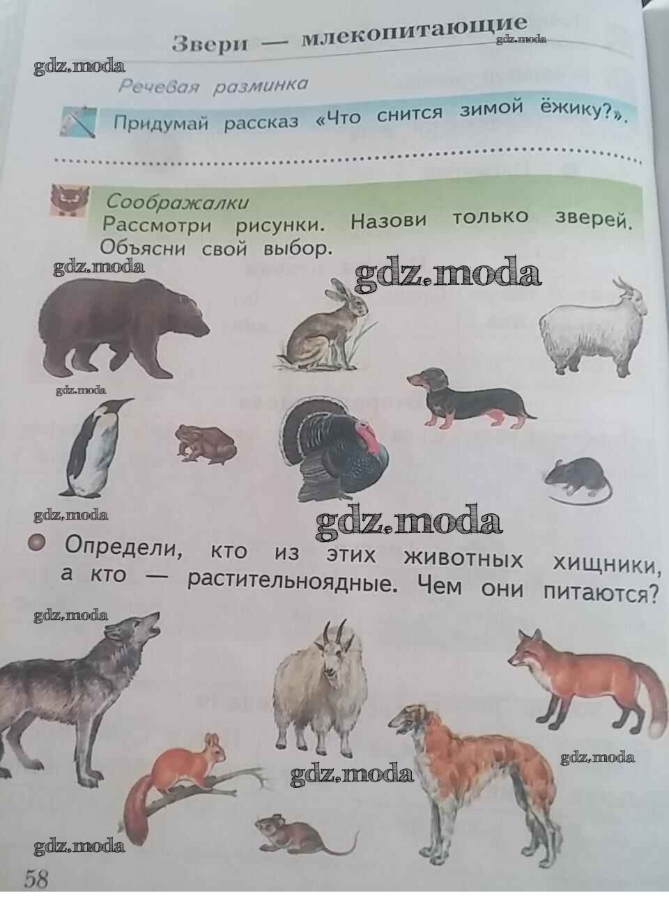 Плешаков окружающий мир стр 58. Окружающий мир 1 класс рабочая тетрадь задания. Животные по окружающему миру 1 класс. Млекопитающие задания для 1 класса. Тетрадь по окружающему миру 1 класс.