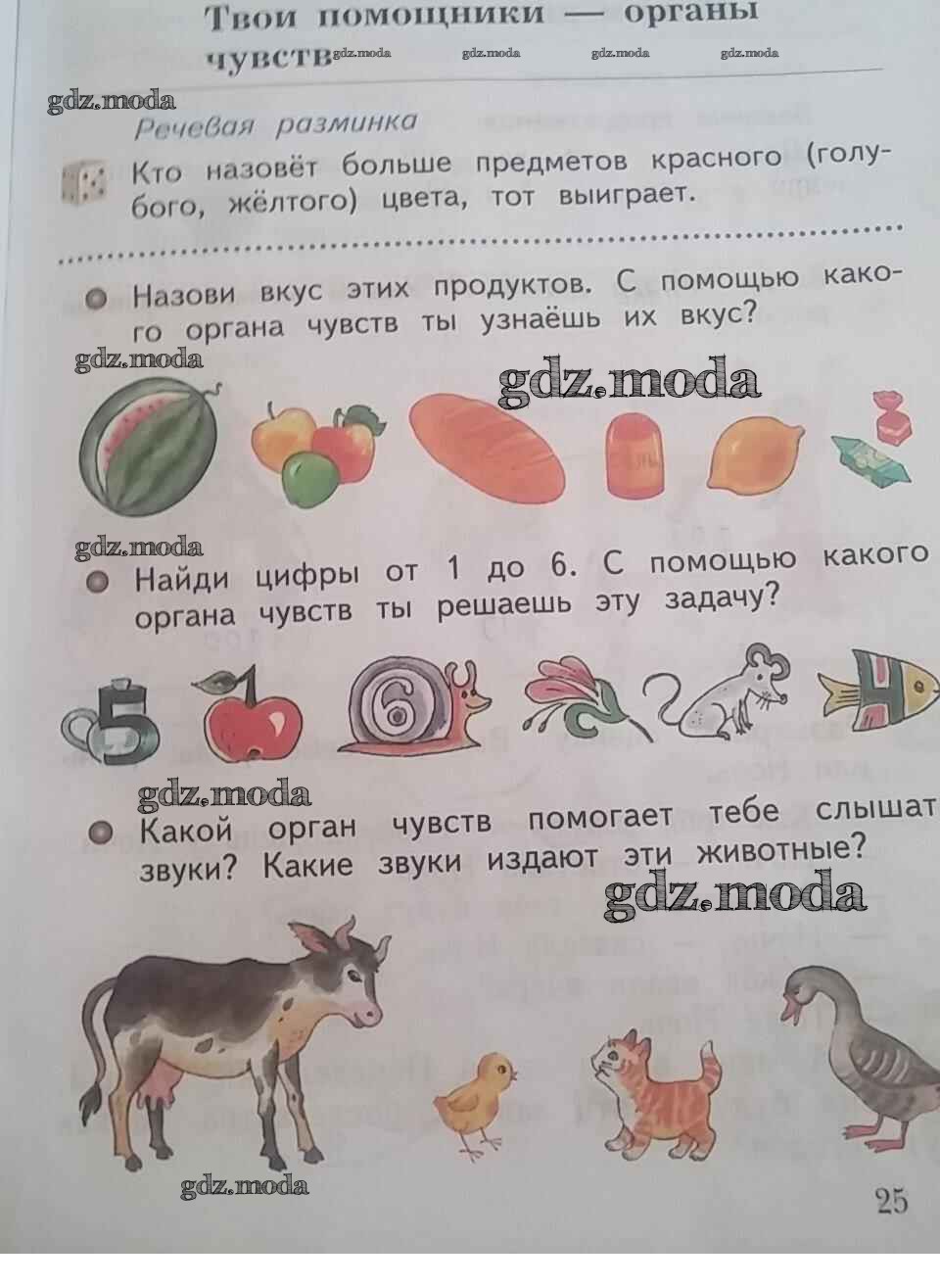Окружающий мир рабочая тетрадь упражнение. Задачи по окружающему миру. Окружающий мир 1 класс задания. Задания по окружающему миру 1 класс. Задания по окружающему 1 класс.