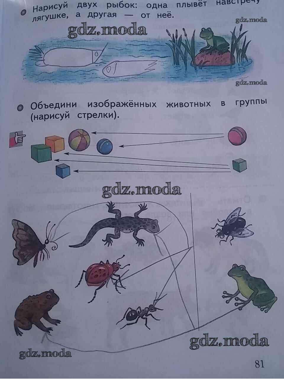 Окружающий мир 3 стр 81. Творческая работа по окружающему миру. Окружающий мир 1 класс задания. Темы окружающего мира 1 класс. Окружающий мир тетрадь 1 класс стр 80-81.