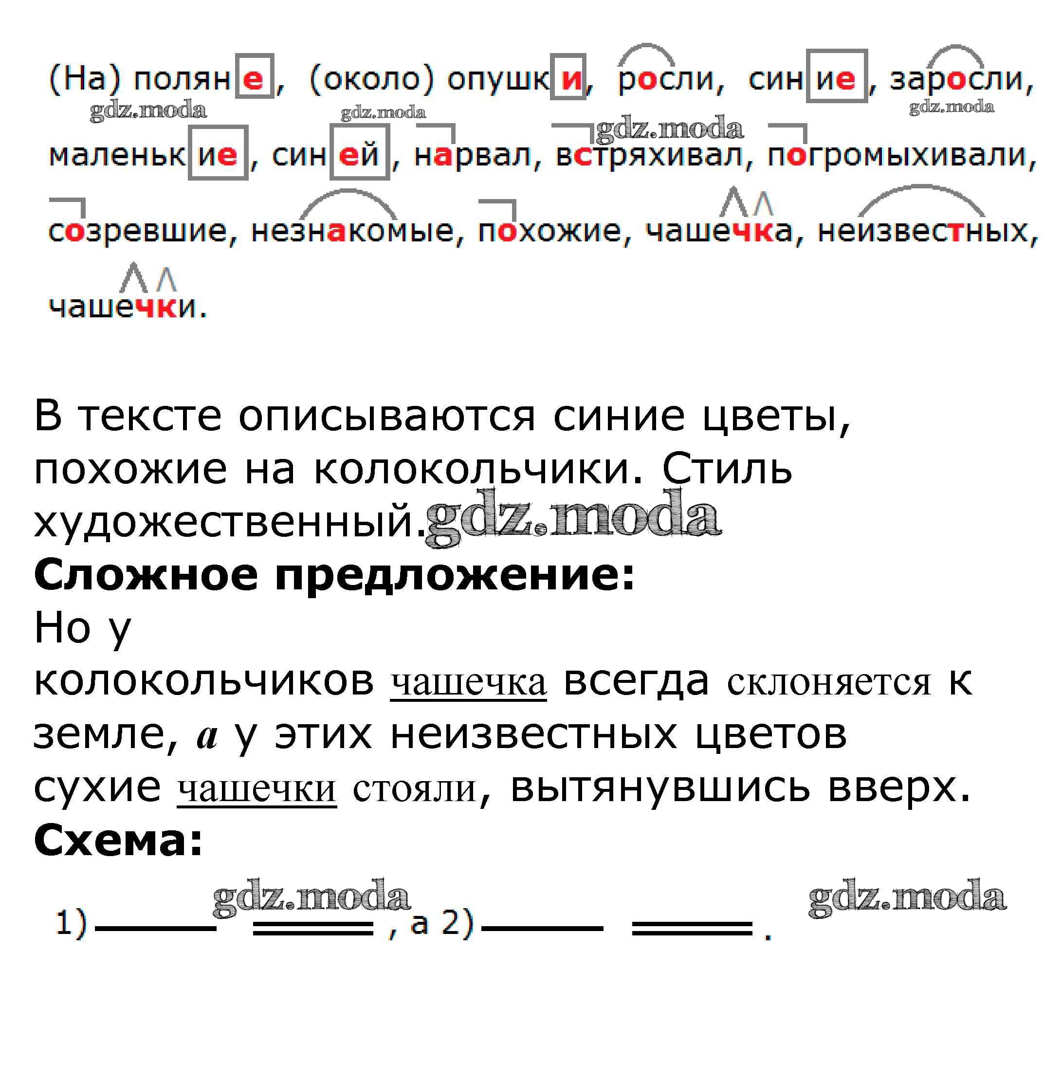 ОТВЕТ на задание № 505 Учебник по Русскому языку 5 класс Баранов