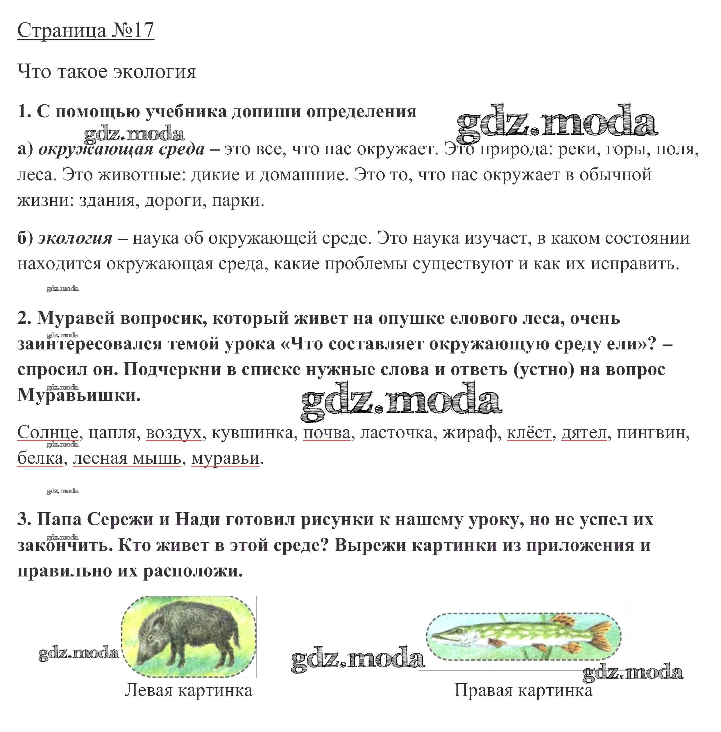 ОТВЕТ на задание № 17 Рабочая тетрадь по Окружающему миру 3 класс Плешаков  Школа России