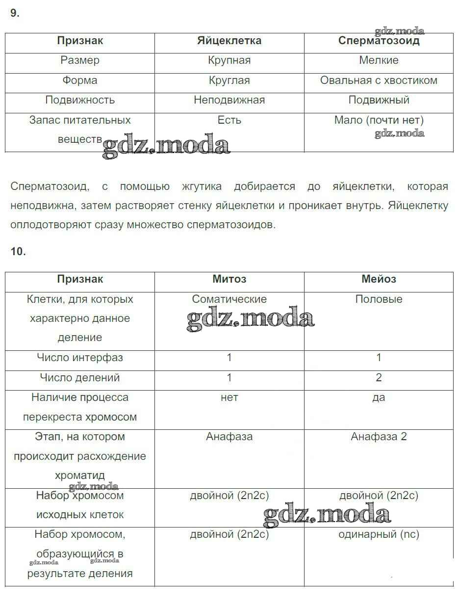 ОТВЕТ на задание № 30 Тетрадь-тренажер по Биологии 10-11 класс Сухорукова  Сферы