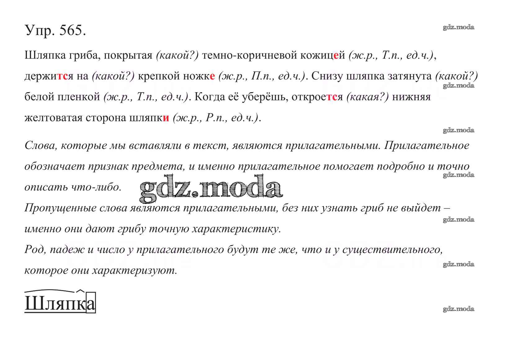 Русский страница 49 упражнение 565