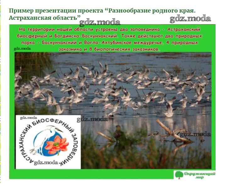 Разнообразие природы родного края владимирская область. Разнообразие природы родного края Астраханской области. Природа и животный мир Астраханского края. Проект разнообразие природы родного края Астрахань. Проект разнообразие природы Астраханского края.