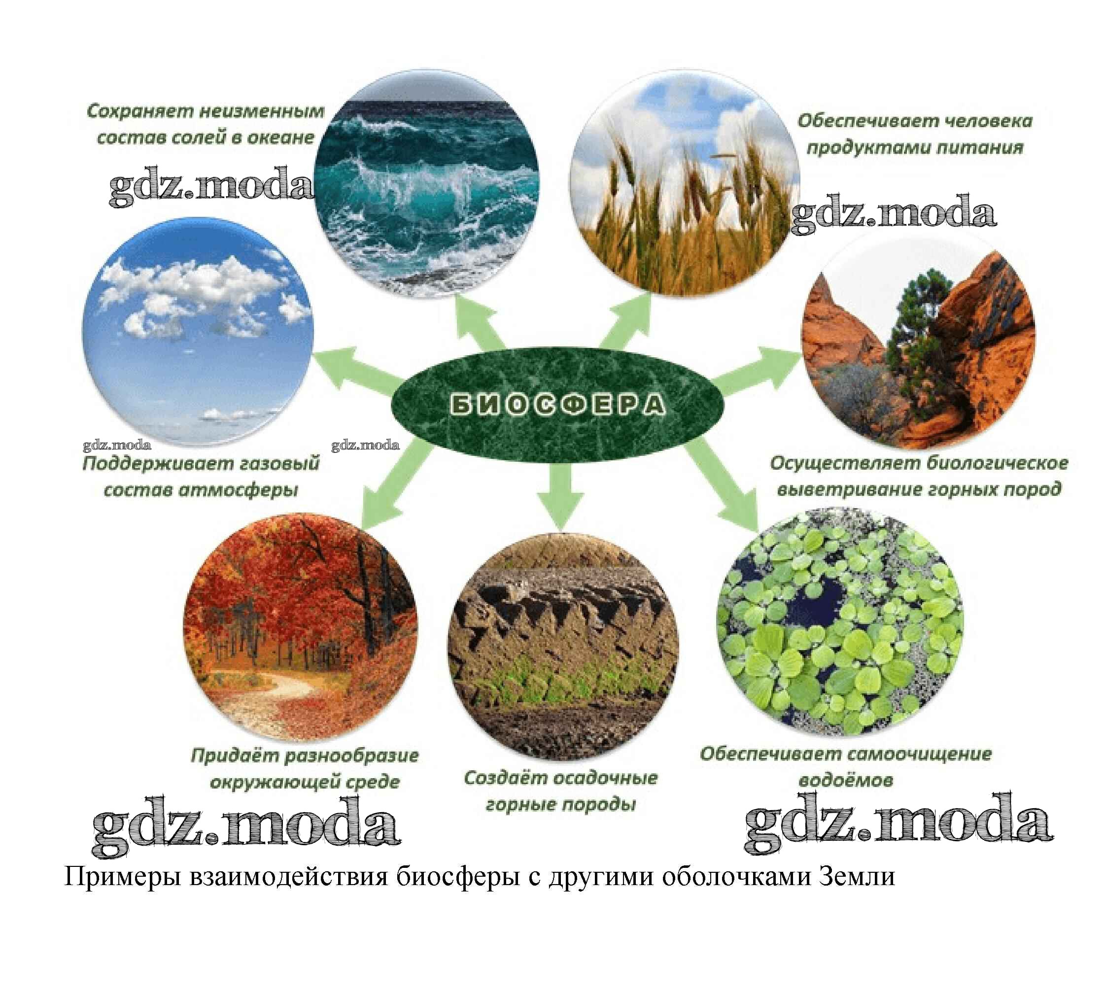 Связь биосферы с другими оболочками земли схема