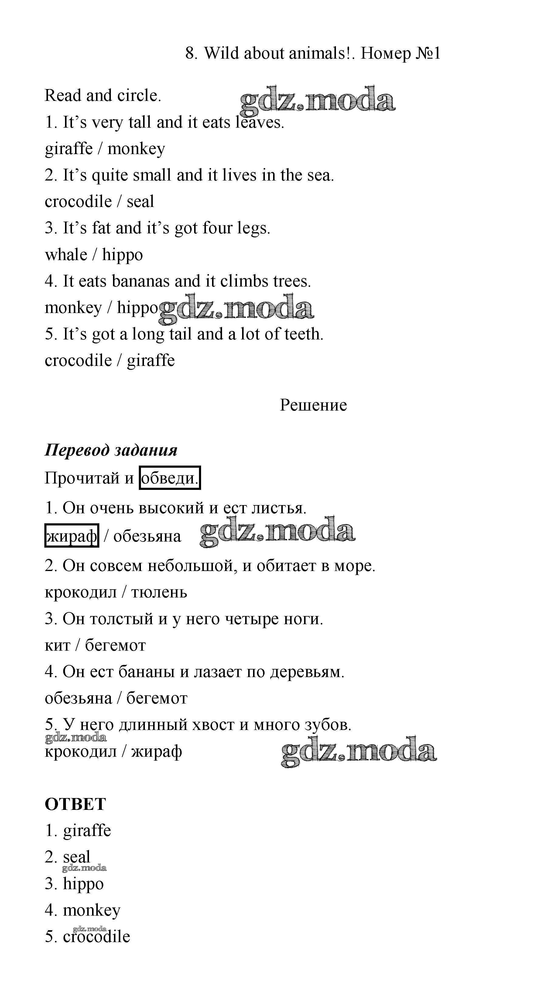 ОТВЕТ на задание № страница 32 Рабочая тетрадь по Английскому языку 4 класс  Быкова Spotlight