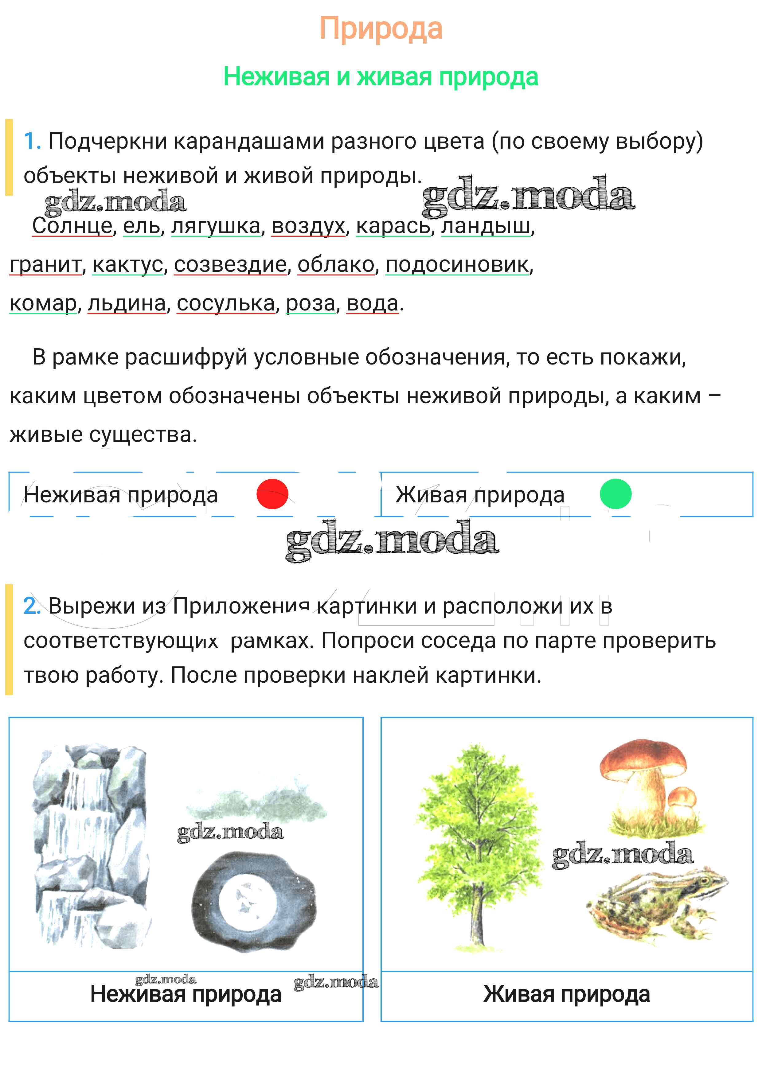 Рисунок живой и неживой природы