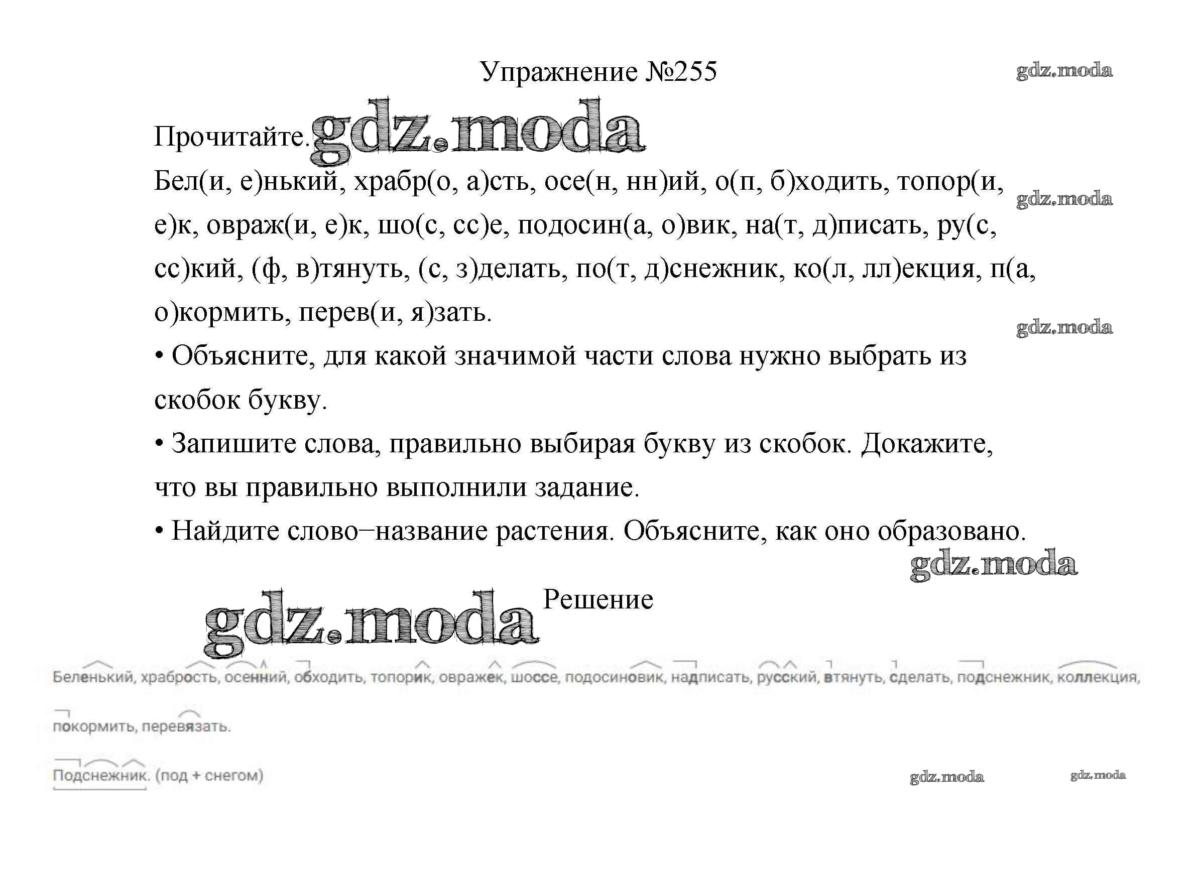 ОТВЕТ на задание № 255 Учебник по Русскому языку 3 класс Канакина Школа  России