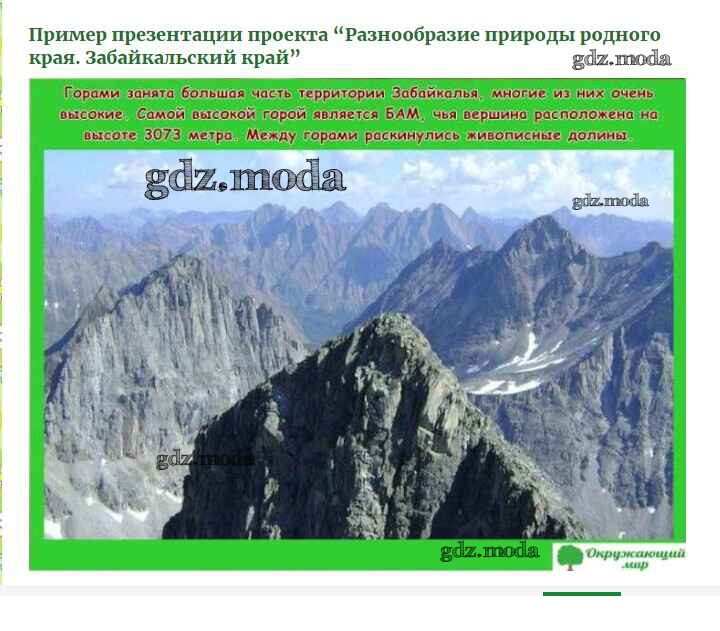 Разнообразие природы забайкальского края 3 класс проект