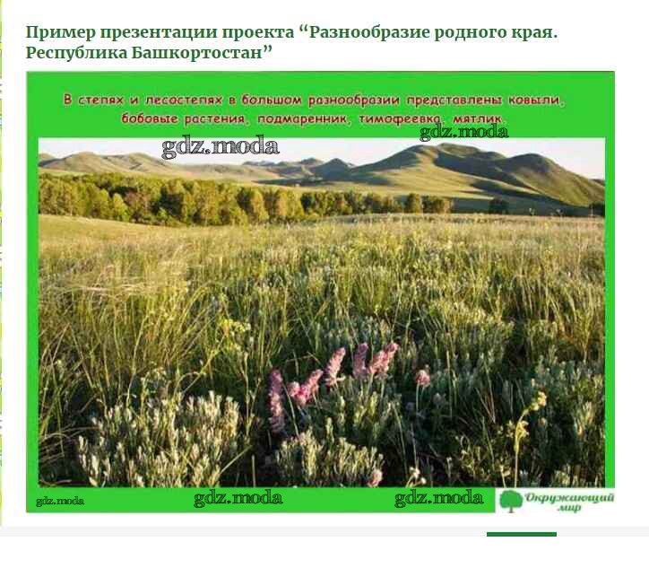 Проект разнообразие природы родного края бурятии. Разнообразие природы родного края Башкортостан. Разнообразие природы родного края Башкортостан 3 класс. Разнообразие природы родного края Бурятии. Проект разнообразие природы родного края Башкортостан.