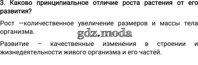 Объясните чем отличаются рост и развитие клеток. Примеры роста и развития клеток 8 класс. Схема роста растительной клетки. Объясните чем отличаются рост и развитие клеток. Рост клетки растений.