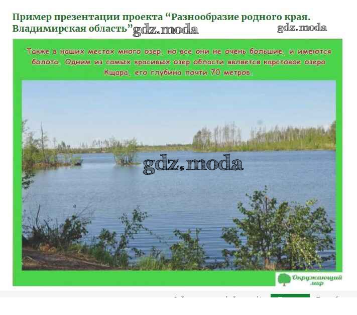 Разнообразие природы родного края владимирская область. Природа Владимирской области проект 3 класс окружающий мир. Природа Владимирской области проект. Природа Владимирской области презентация. Разнообразие природы Владимирской области.
