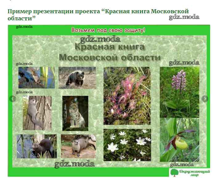 Проект красная книга подмосковья