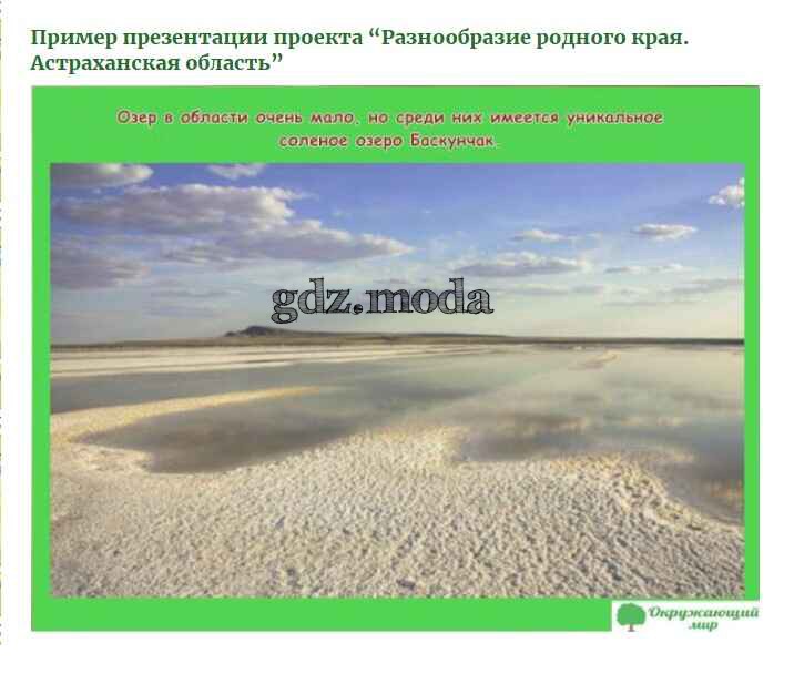 Проект астраханские. Богатства Астраханского края. Разнообразие природы Астраханского края. Природные богатства Астраханского края. Разнообразие природы Астраханского края 3 класс.