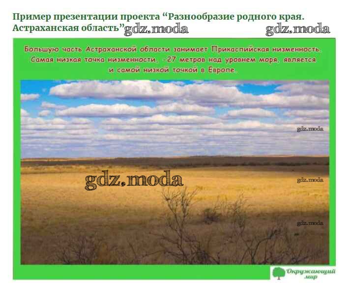 3 класс окружающий мир проект родного края. Прикаспийская низменность Астраханская область. Астрахань в Прикаспийской низменности. Разнообразие природы Астраханского края. Богатства Астраханского края.