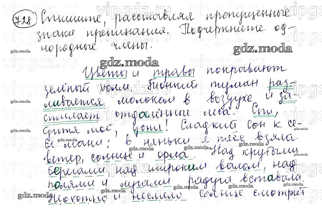 ОТВЕТ на задание № 728 Учебник по Русскому языку 5 класс Баранов