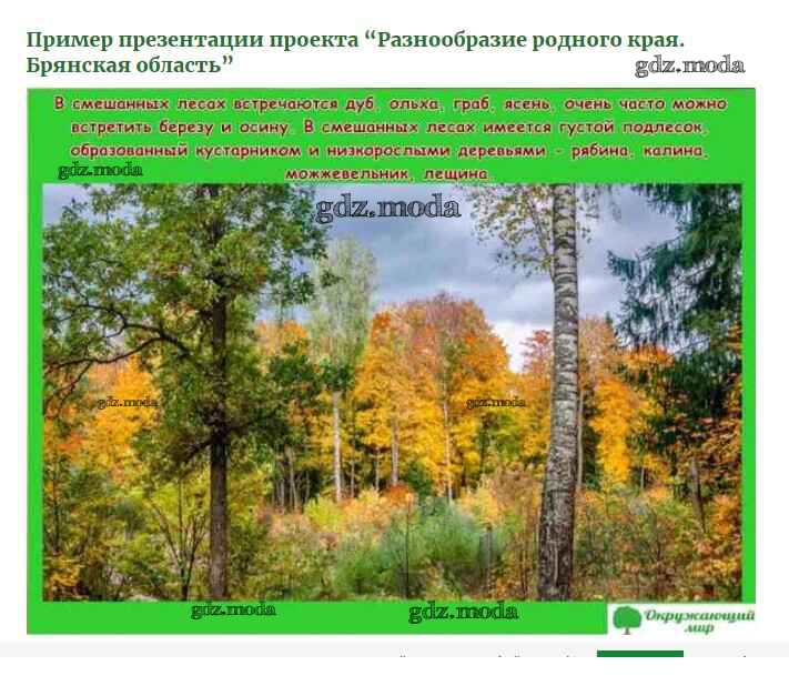 3 класс проект разнообразие природы родного края. Разнообразие природы Брянской области. Примеры смешанных лесов. Проект разнообразие природы Брянского края. Разнообразие природы родного края Брянской области.