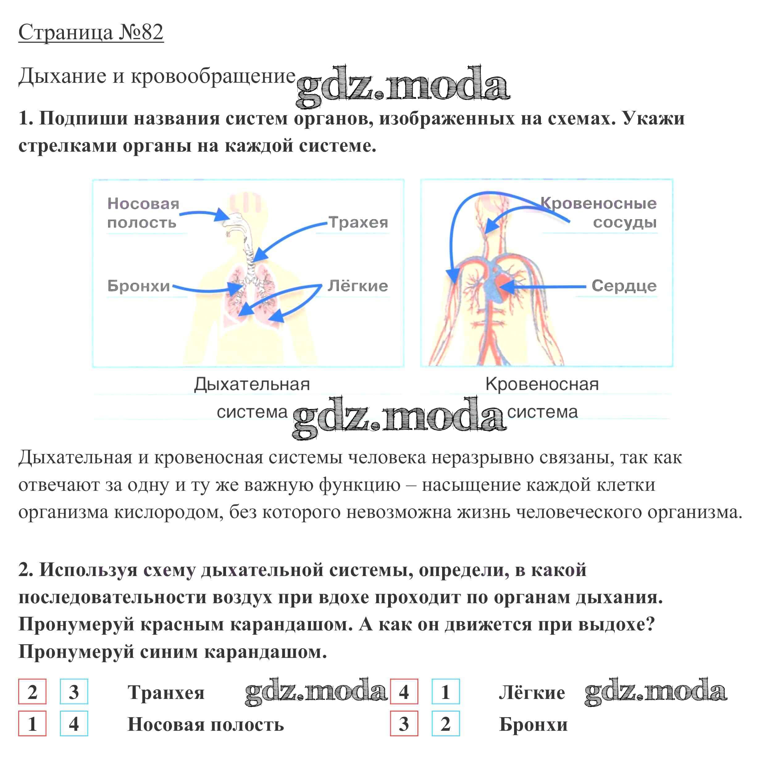 ОТВЕТ на задание № 82 Рабочая тетрадь по Окружающему миру 3 класс Плешаков  Школа России