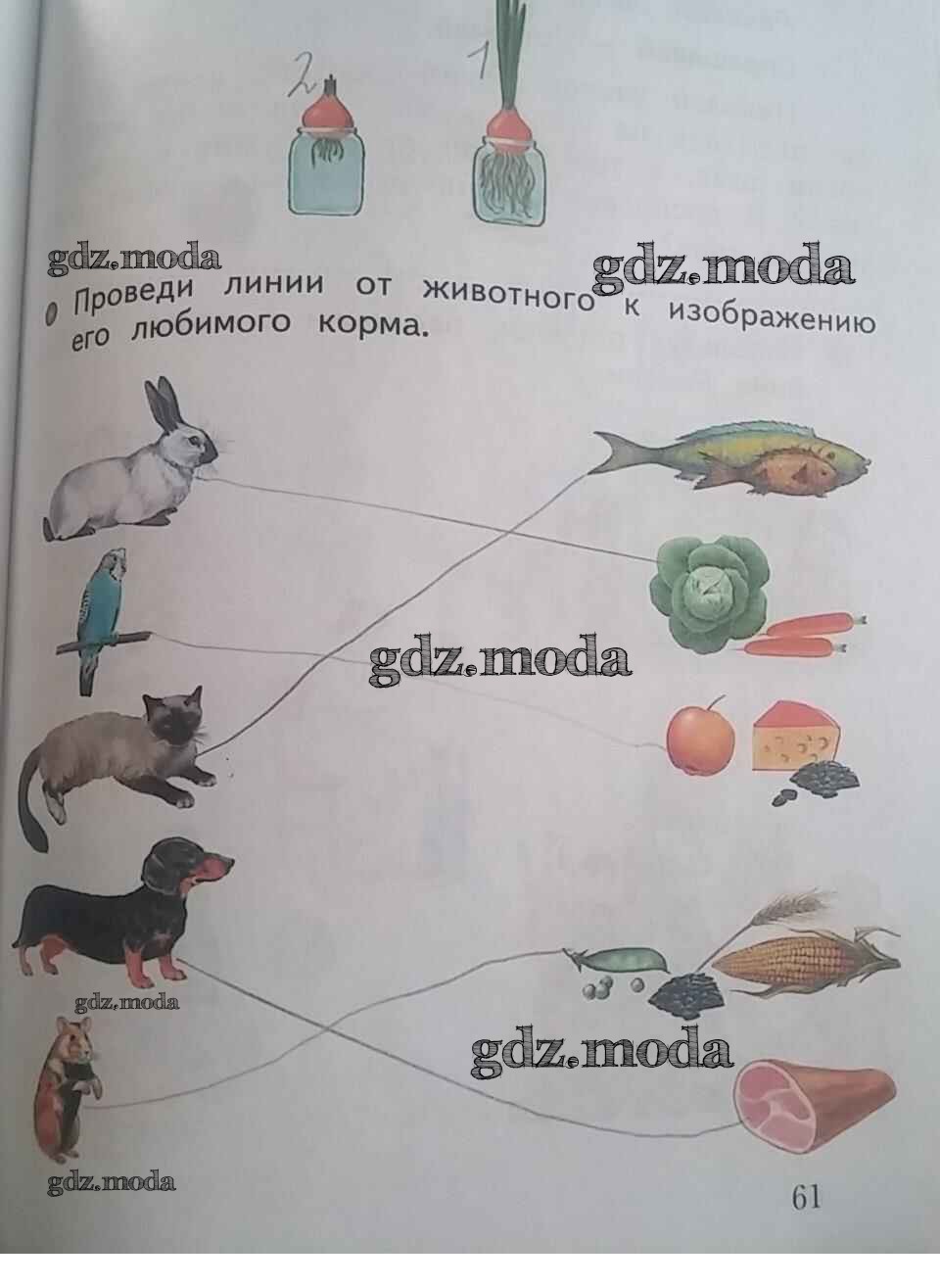 Окружающий мир виноградовой 1 класс ответы. Рабочая тетрадь по окружающему миру 1 класс Виноградова. Окружающий мир 1 класс рабочая тетрадь 1 часть стр 61. Окружающий мир Виноградова 1 класс рабочая тетрадь стр 61. Окружающий мир 1 класс рабочая Виноградова.