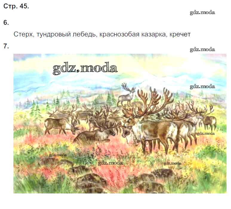 Зона тундры рисунок. Представляю себе тундру. Тундра для детей дошкольников. Картина тундры 4 класс. Тундра в виде рисунка.