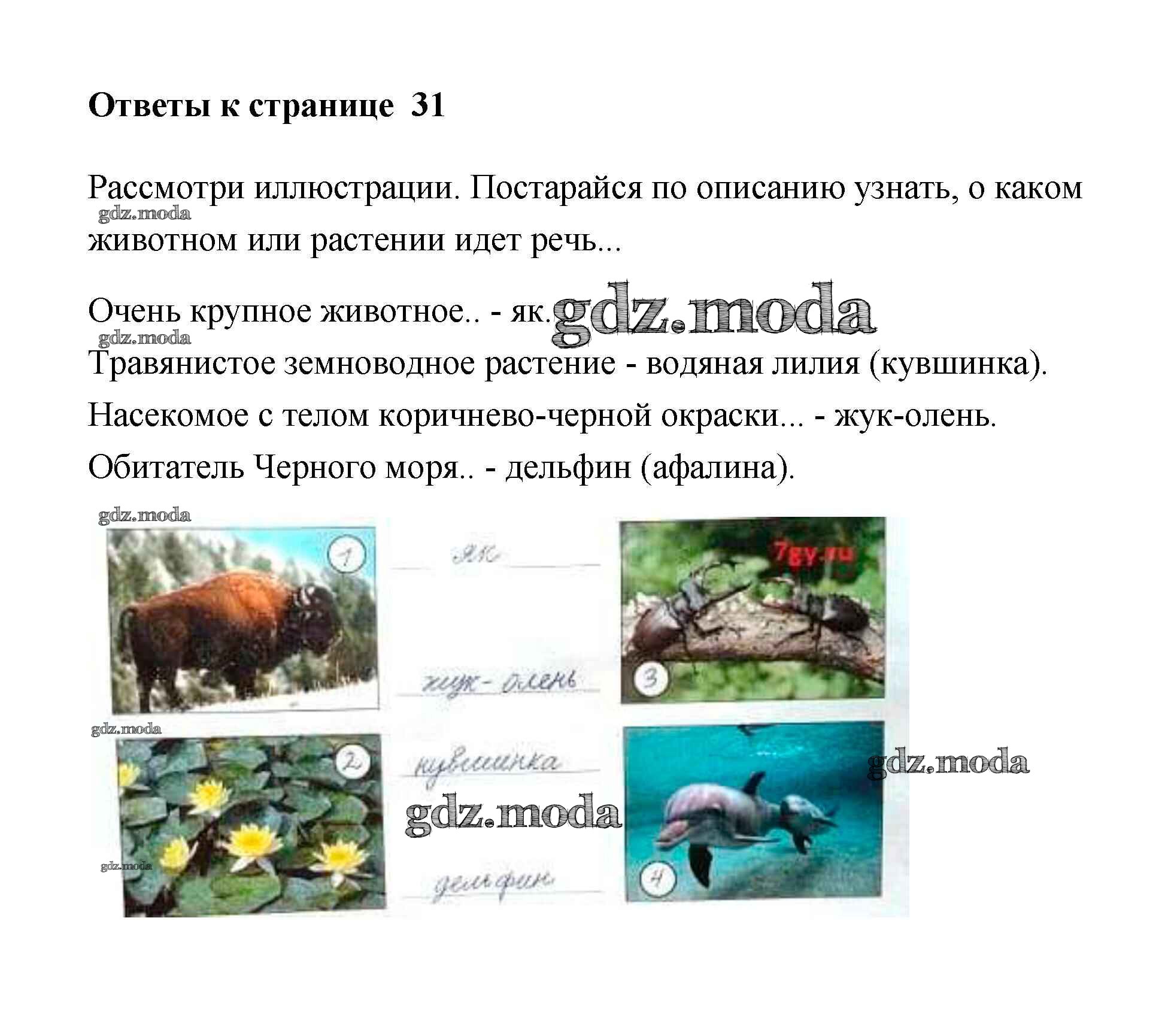 ОТВЕТ на задание № 31 Рабочая тетрадь по Кубановедению 2 класс Еременко