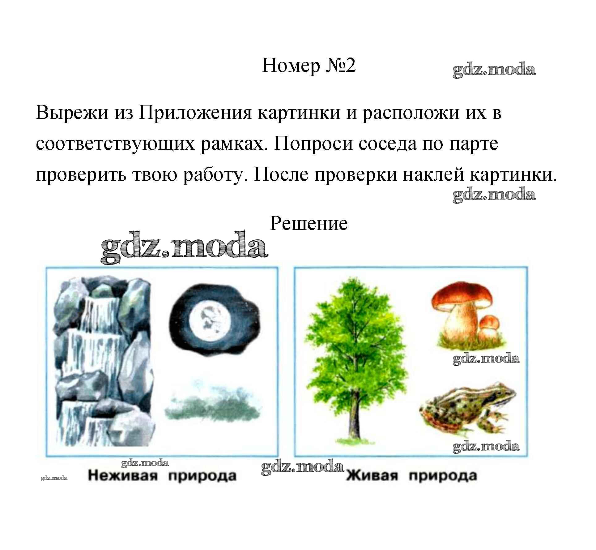 Рисунок живой и неживой природы