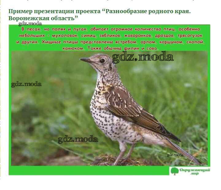 Проект разнообразие родного края воронежская область Разнообразие природы родного края воронежская область