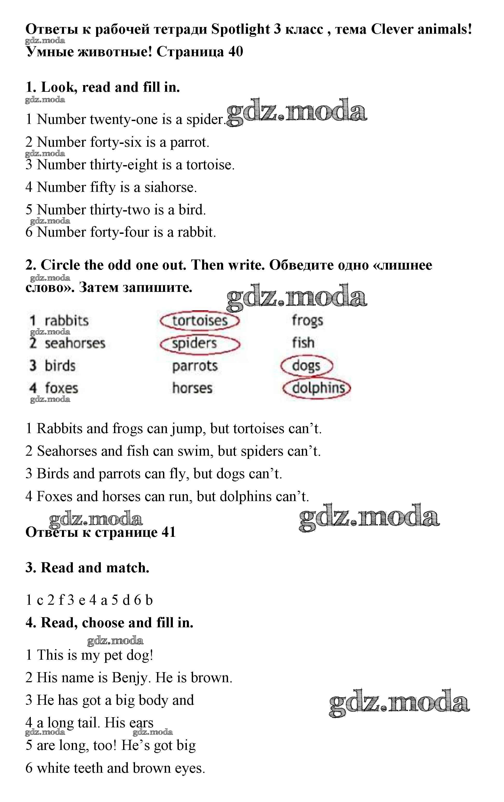 ОТВЕТ на задание № 40-41 Рабочая тетрадь по Английскому языку 3 класс  Быкова Spotlight