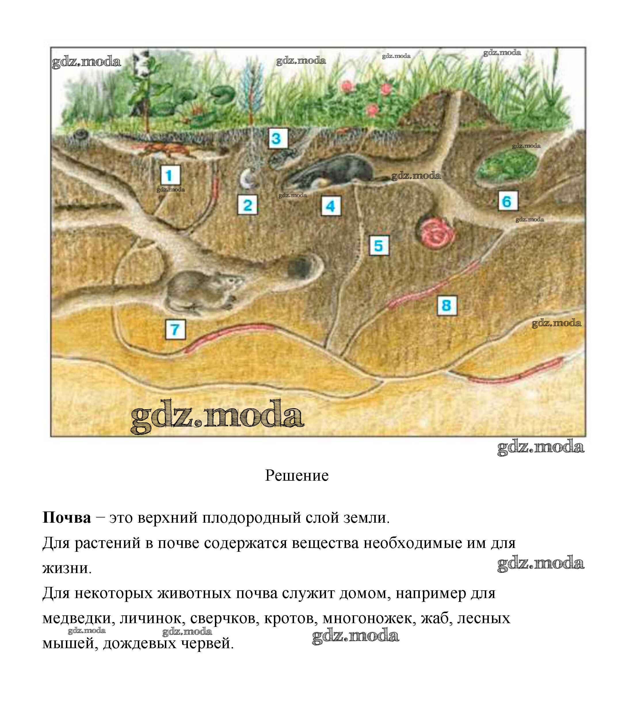 Песняева комплексная проверочная работа 4 класс. Вариант 1 крот ответы. Задания с кротом. Вариант 1 крот ответы. Вариант 1 крот ответы.