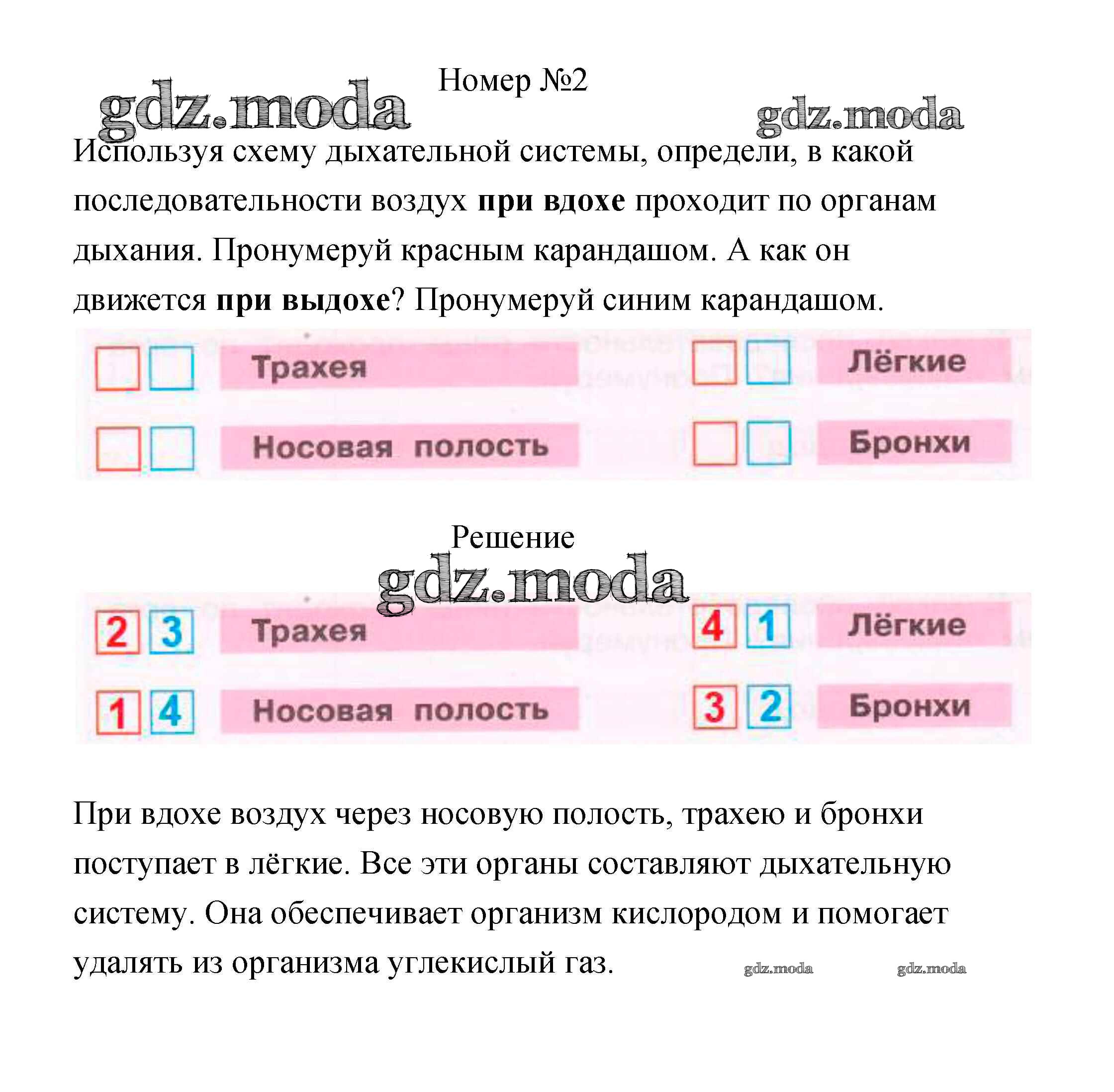 ОТВЕТ на задание № 82 Рабочая тетрадь по Окружающему миру 3 класс Плешаков  Школа России