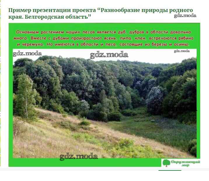 Разнообразие природы родного края белгородская область
