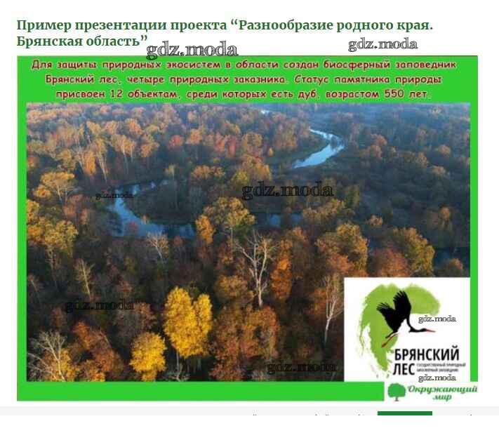 Проект разнообразие природы родного края курганская область. Брянский заповедник Брянский. Заповедник Брянский лес на карте Брянской области. Природа родного края Брянск. Разнообразие природы Брянской области.