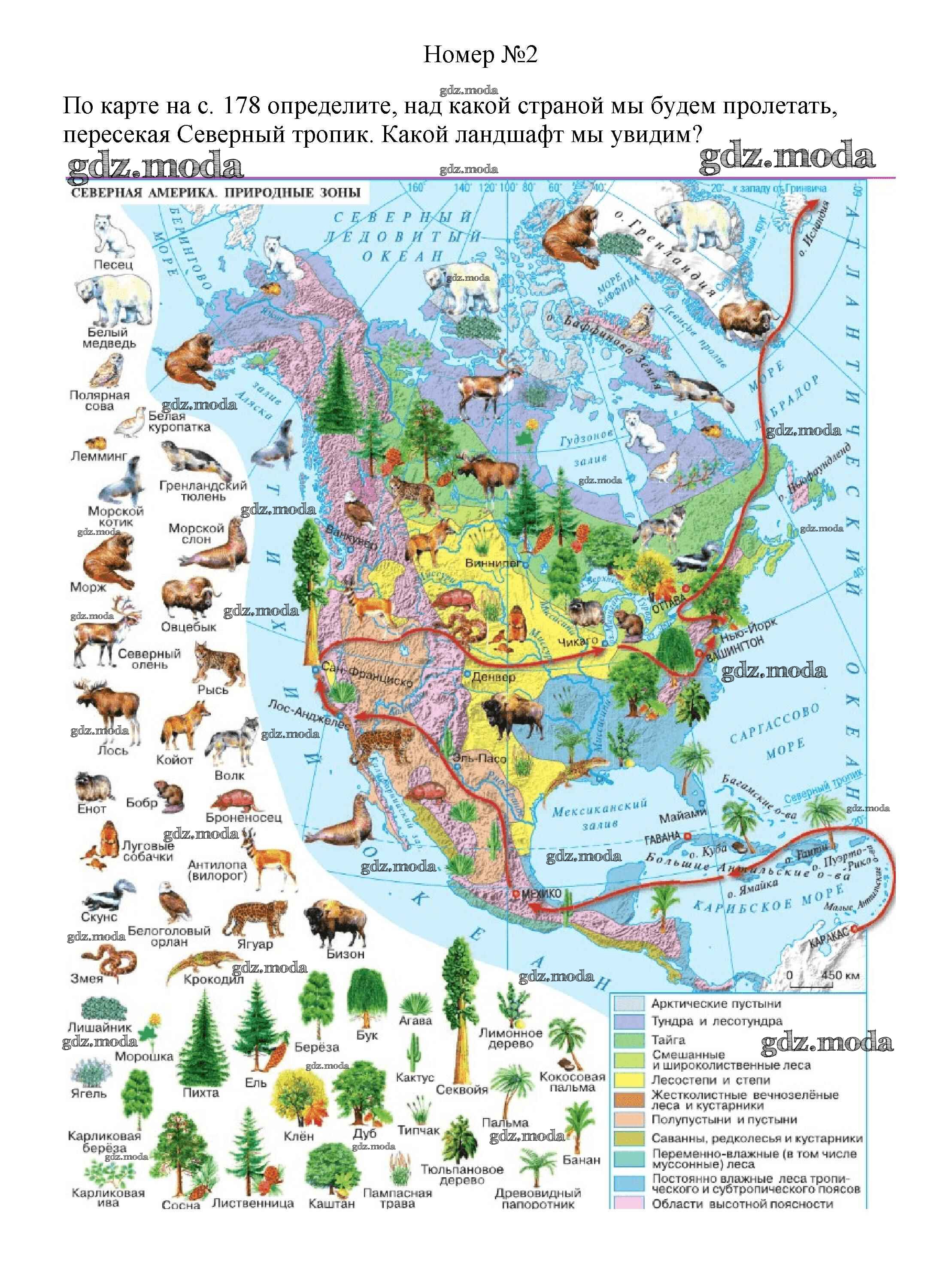 Большую часть северной америки занимает природная зона