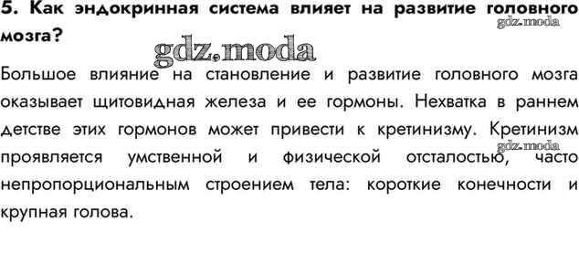 Ось кишечник мозг микробиота. Факторы негативно влияющие на систему органов дыхания человека. На которые система повлиять. На которые система повлиять. Влияние стресса на сердечно-сосудистую систему человека.