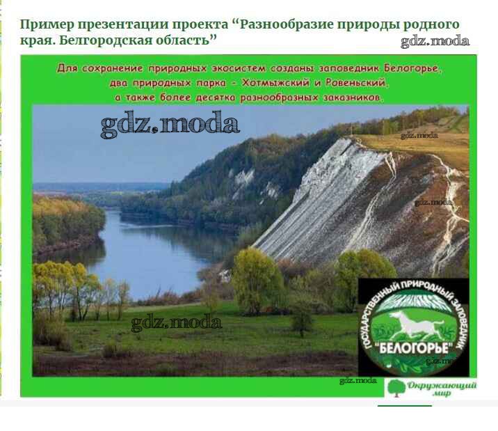 Разнообразие природы родного края белгородская область. Проект родной край Белгородская область. Природа родного края Белгородская\ область. Проект разнообразие природы Белгородской области. Природа Белгородчины 3 класс.