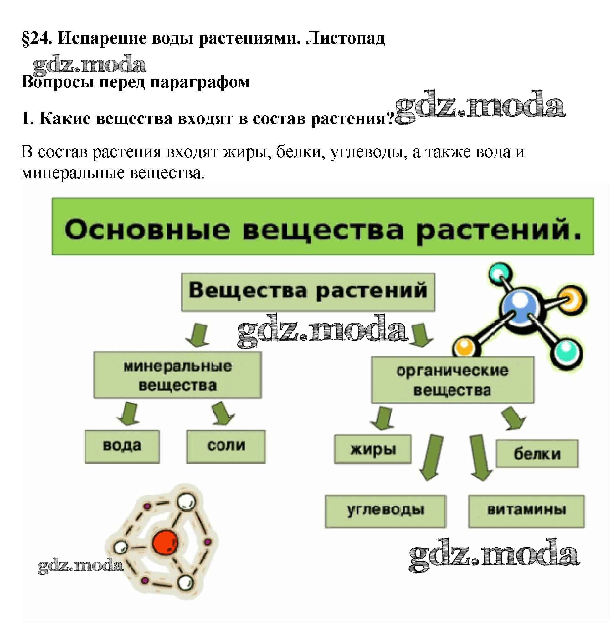 Необходимое для жизни органическое вещество. Органические вещества растений. Минеральные вещества для растений. Минеральные вещества и органические вещества. Основные вещества растений.