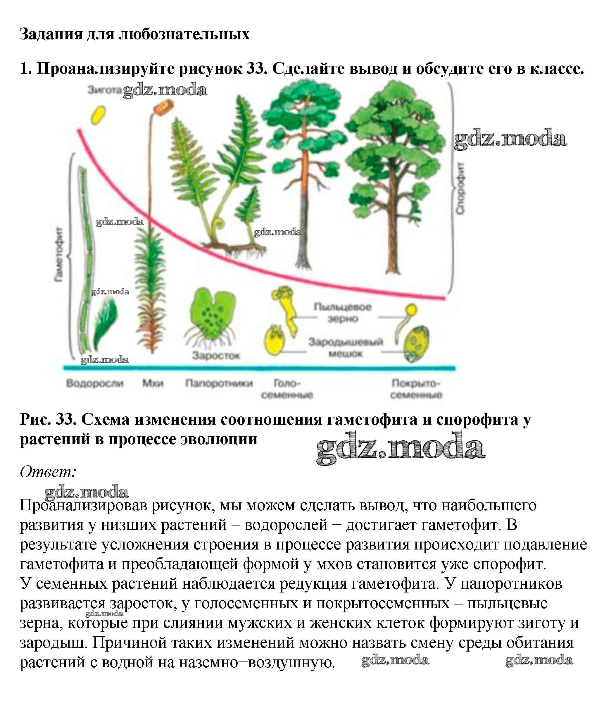 Линейная биология курс. Биология линейный курс. Биология 7 класс Пасечник линейный курс. Учебник биология 7 класс Пасечник линейный курс. Что такое линейный курс по биологии.