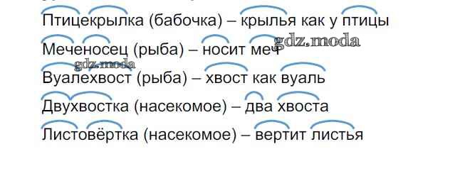 Корень слова устную. Птица корень. Корень в слове птичка. Похожие слова устные. Объясни по рисунку что обозначают записи 2 класс цветы.