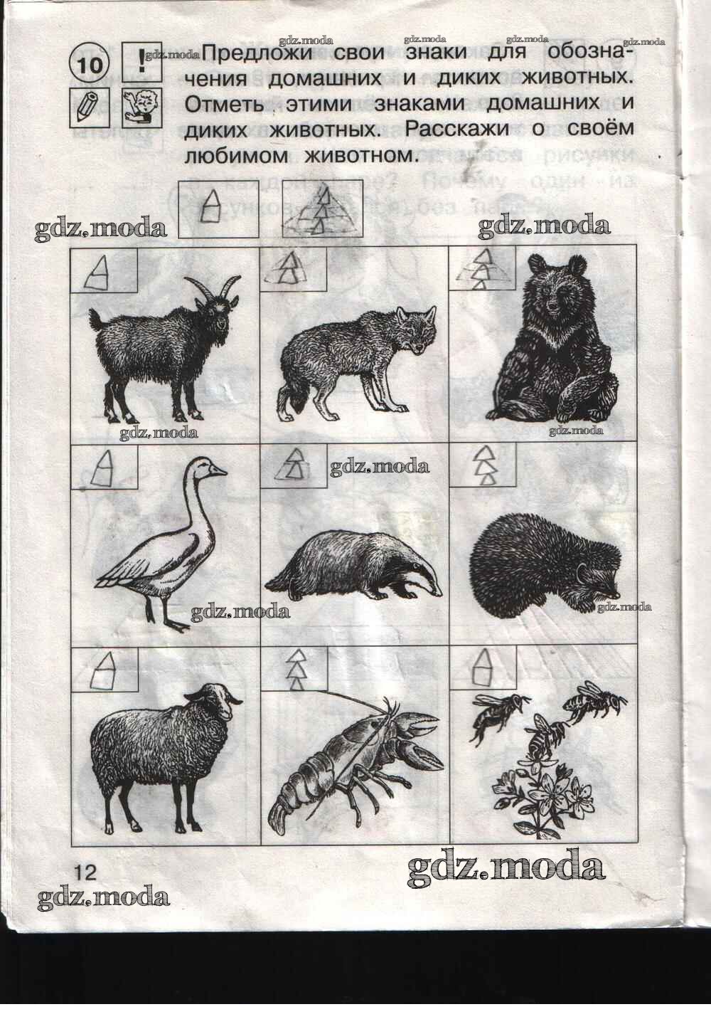 Окружающий мир 1 класс тетрадь стр 12. Знаки для домашних и диких животных. Окружающий мир 1 класс. Знаки для обозначения домашних и диких животных. Окружающий мир 1 класс рабочая тетрадь Федотова Трофимова.